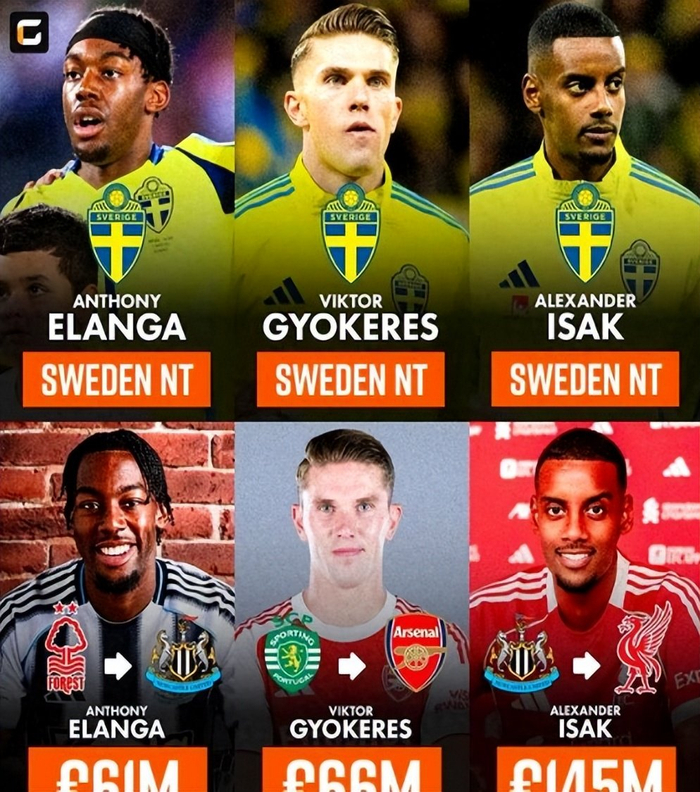 瑞典力克波兰约克雷斯建功 世界杯门票终到手