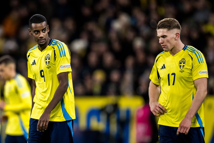 瑞典力克波兰约克雷斯建功 世界杯门票终到手